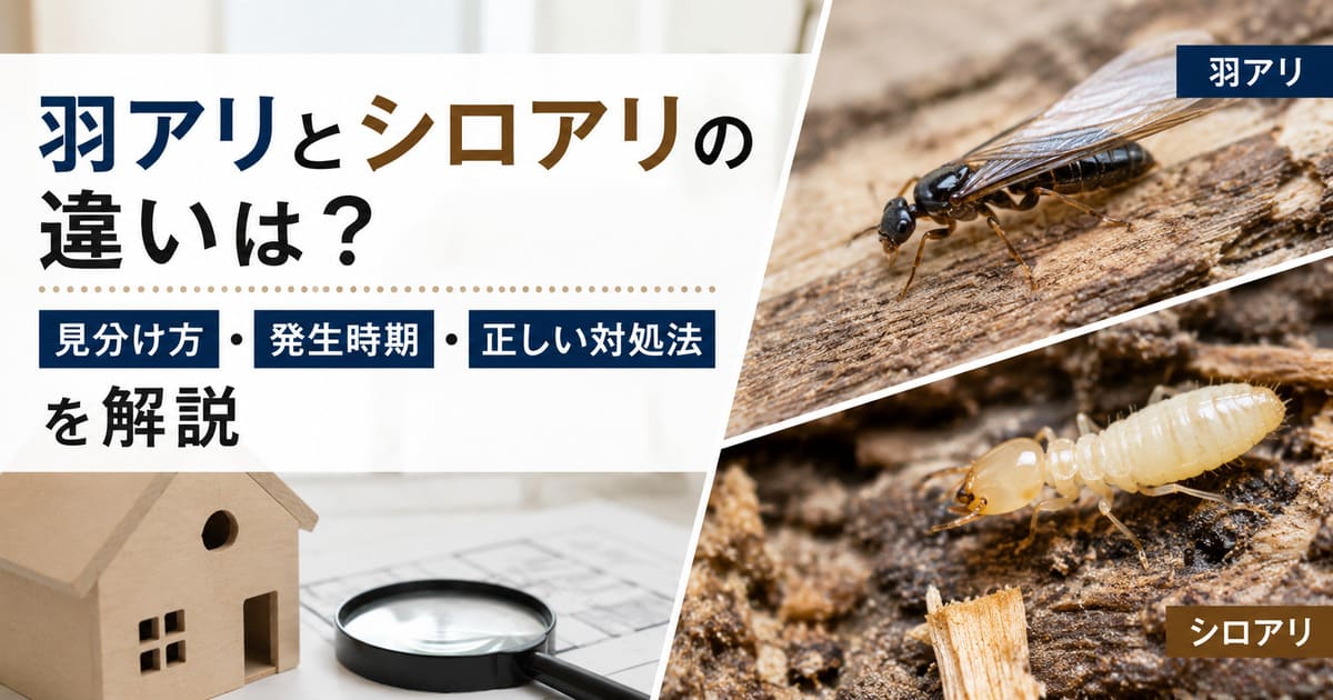 羽アリとシロアリの違いは？見分け方・発生時期・正しい対処法を解説